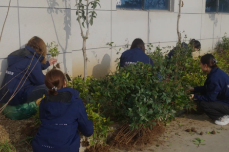 1690945251138377.png image.png